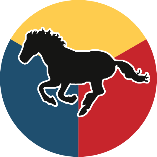 EQUINE CT & MR IMAGING DAYS