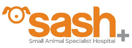 Radiology Intern – North Ryde, NSW, Australia