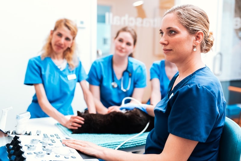 Specialty Internship in Diagnostic Imaging at Frontier Germany