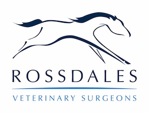 Advanced Imaging Intern