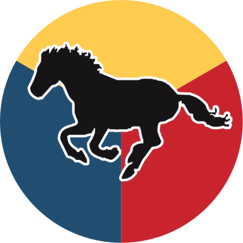 EQUINE CT & MR IMAGING DAYS